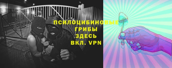 PSILOCYBIN Кулебаки