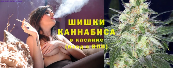 PSILOCYBIN Кулебаки
