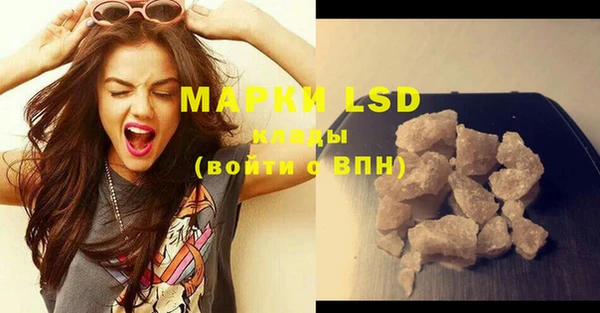 PSILOCYBIN Кулебаки