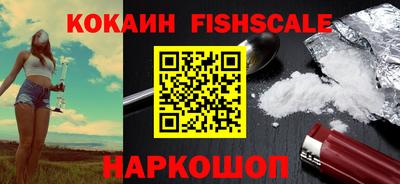 гидра Заводоуковск