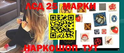 гидра Заводоуковск
