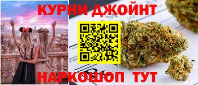 гидра Заводоуковск
