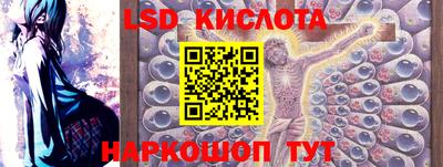 гидра Заводоуковск