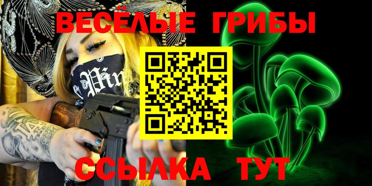 Псилоцибиновые грибы Psilocybe Магадан