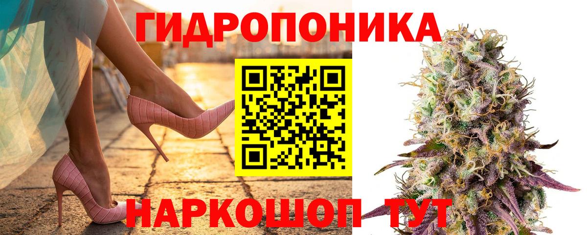 Шишки марихуана OG Kush Магадан